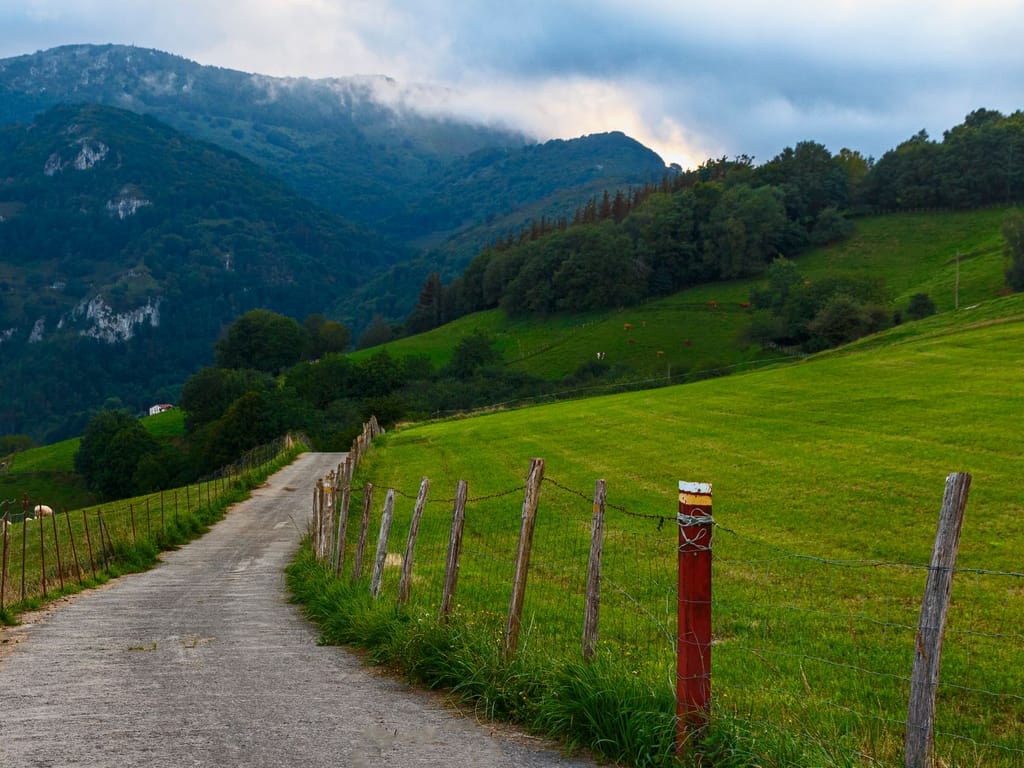Un chemin de randonnée qui monte entre des prés clôturés, avec une borne de balisage au premier plan